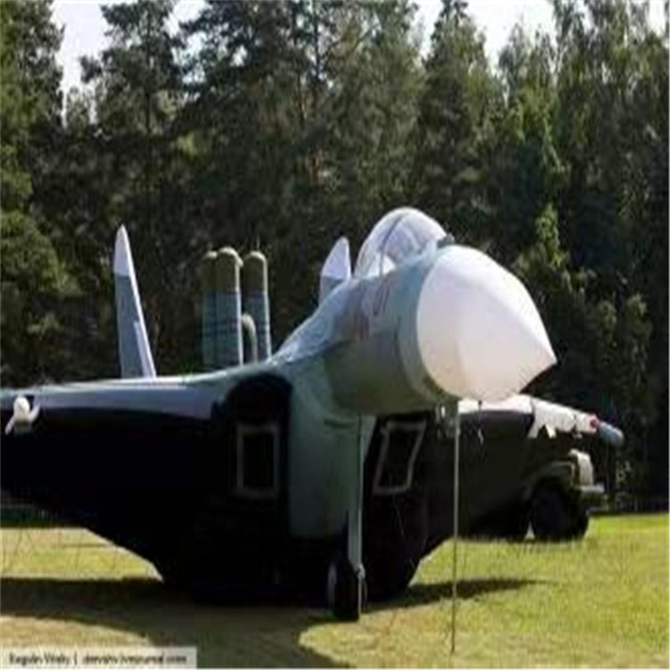 雁山充气模型飞机制造商家